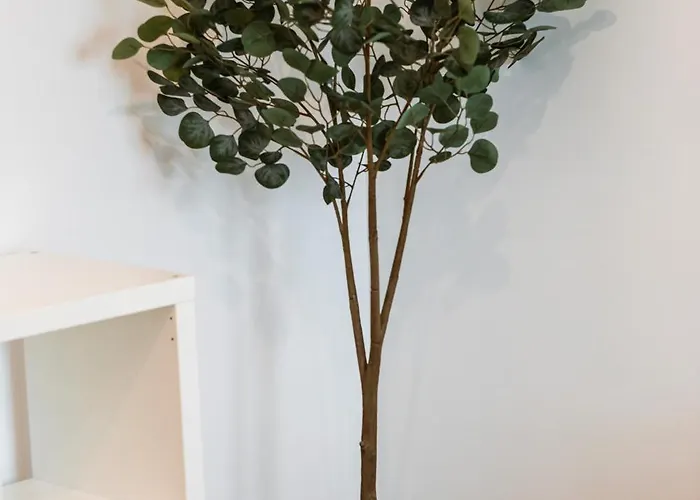 公寓 Unirii Square Luxury Soho Piata Unirii *